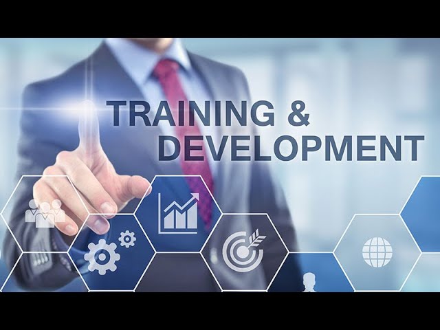 إختصاصات ادارة التطوير والتدريب